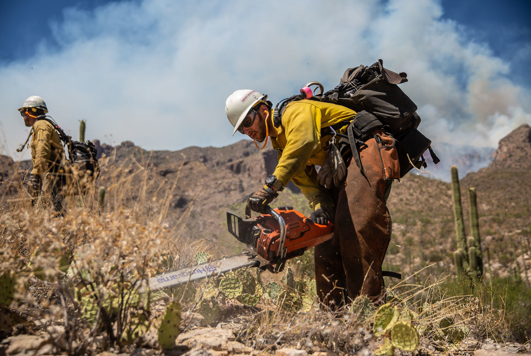Bighorn Fire